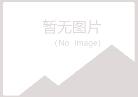 重庆白山律师有限公司